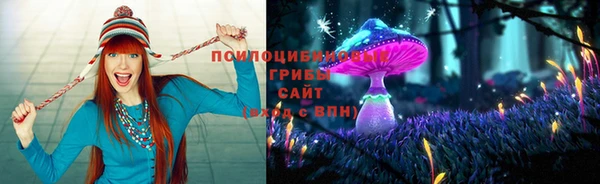 прущая мука Арсеньев