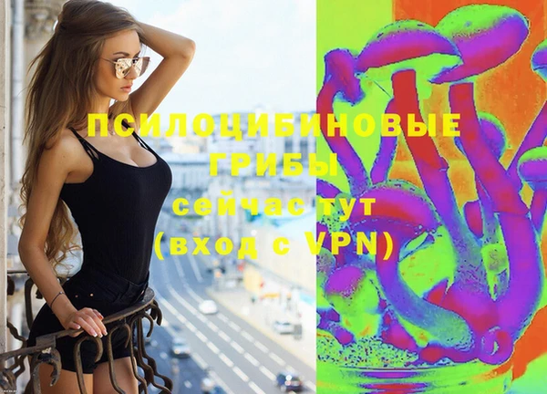 прущая мука Арсеньев