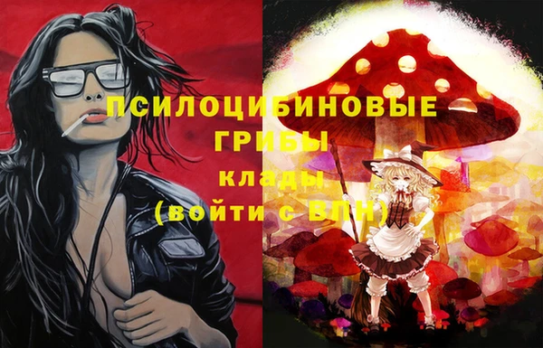 прущая мука Аркадак
